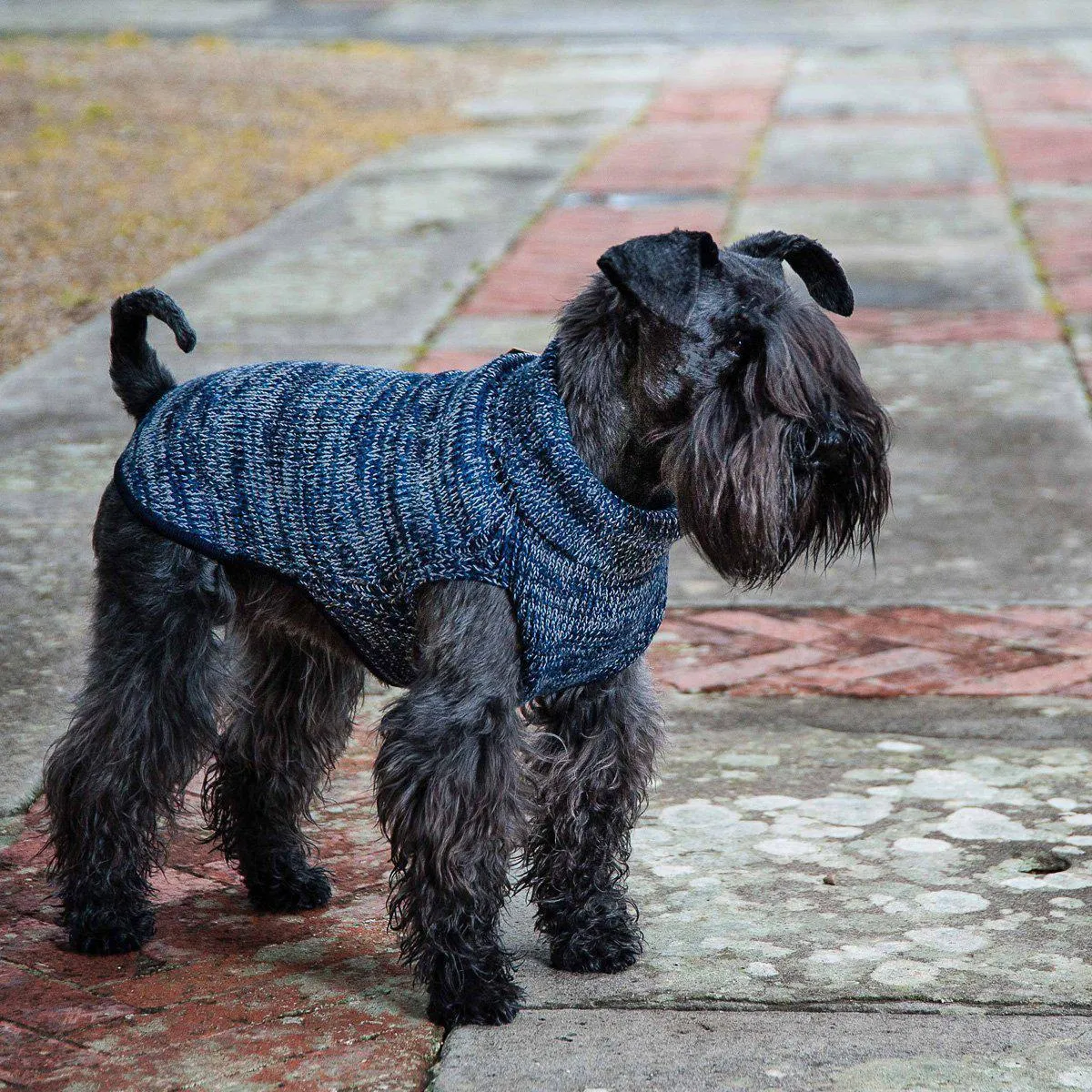 Bespoke Dog Sweater Melange