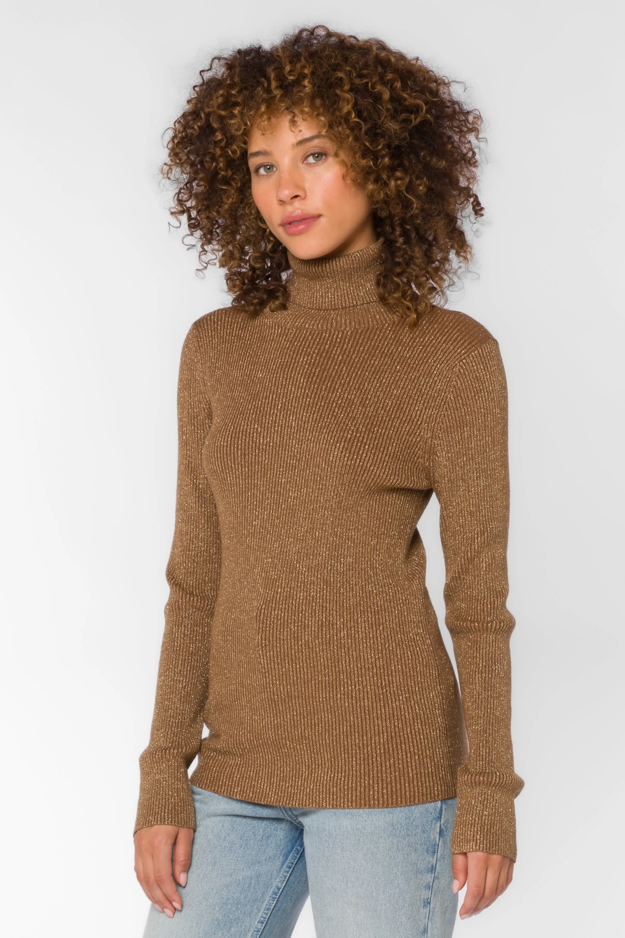 Garner Taupe Metallic Sweater